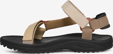 TEVA Sandals in Brown: front