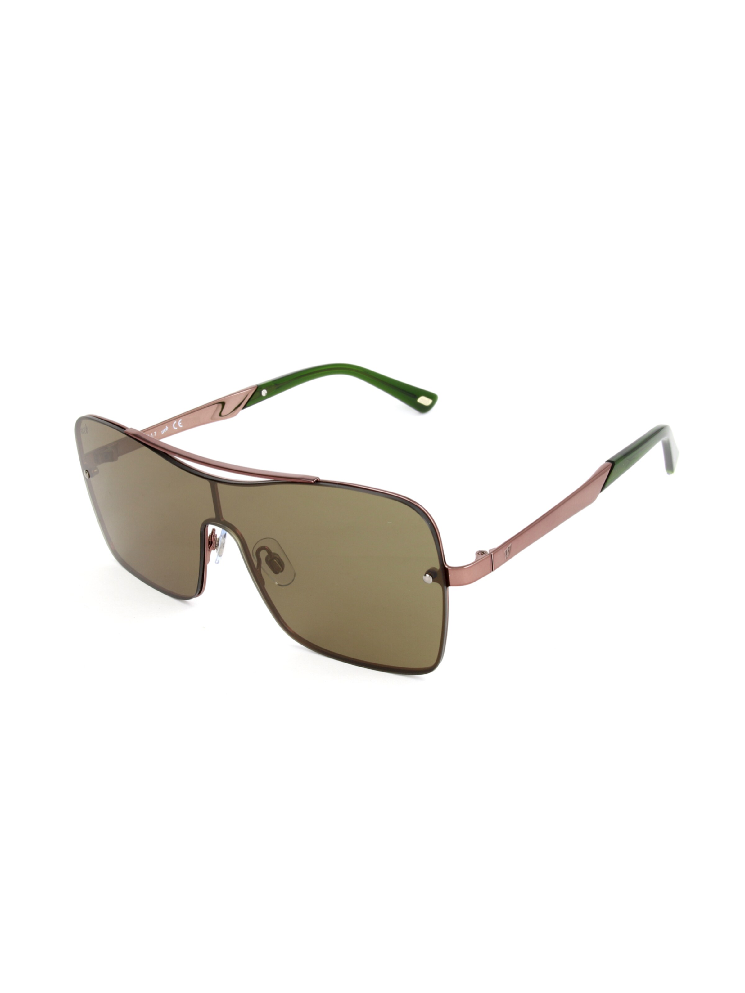 Occhiali da sole 'WE0202' di Web Eyewear in marrone: frontale