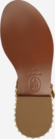 ASH T-Bar Sandals 'PAROS' in Brown