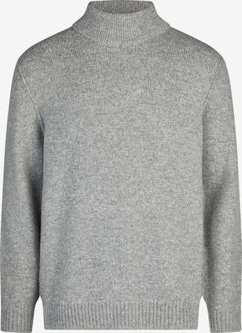 PIERRE CARDIN Pullover in Grau: Vorderseite