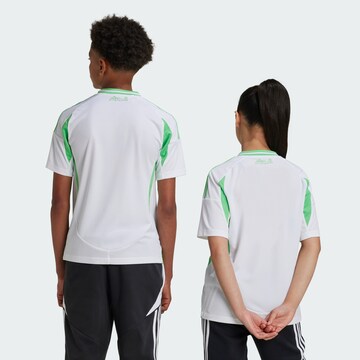 ADIDAS PERFORMANCE Funktionsshirt 'Algeria 24 Home' in Weiß