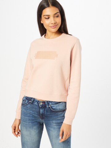 STEVE MADDEN Sweatshirt 'ILUCCA' i rosa: framsida