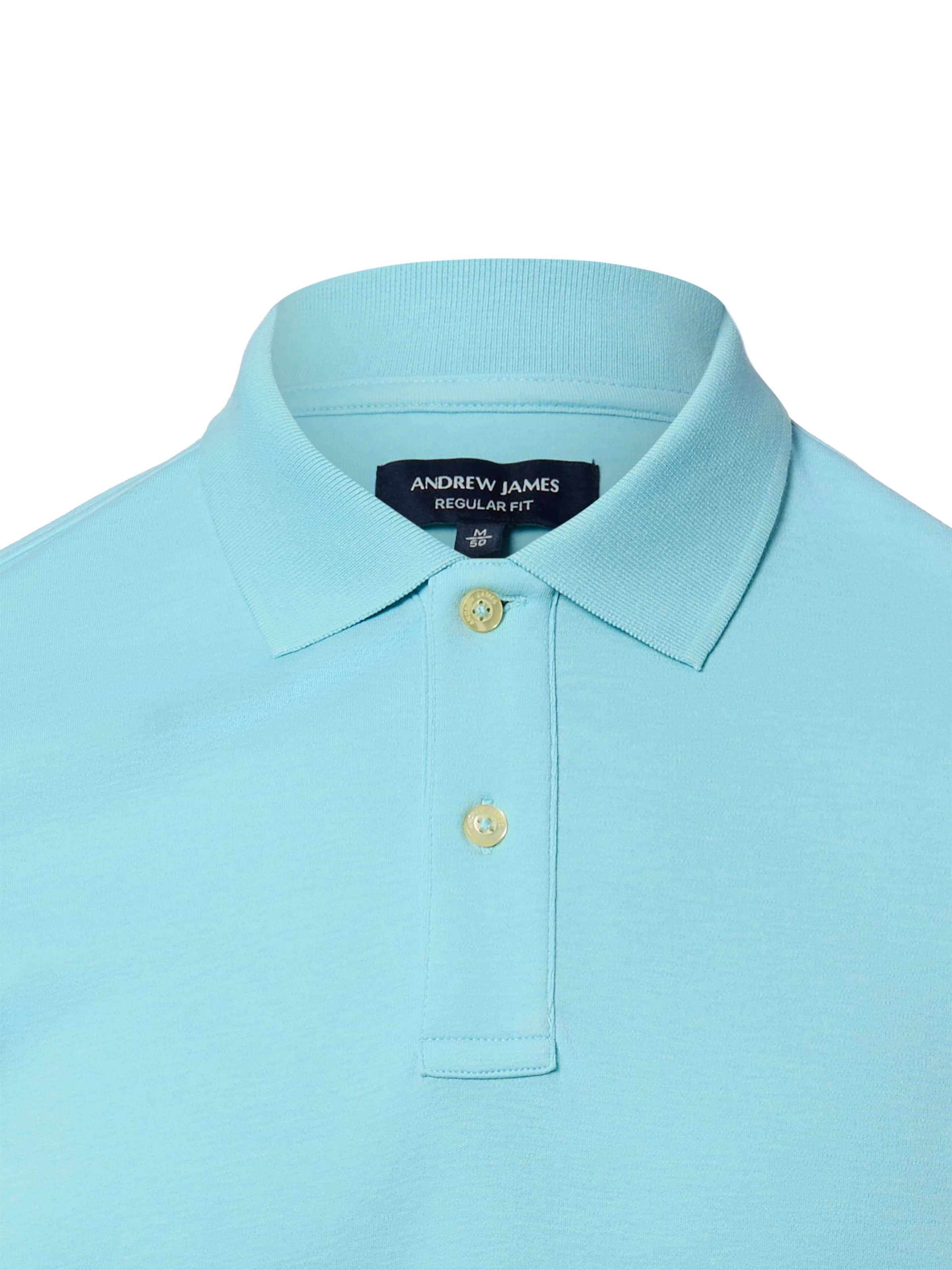 Andrew James Shirt in Green