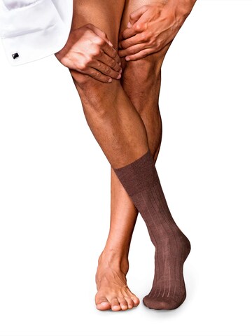 FALKE Socks 'No. 2 Finest Cashmere' in Brown: front