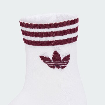 ADIDAS ORIGINALS - Meias em branco