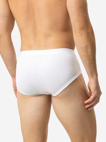 Mey Slip 'Casual Cotton' in White