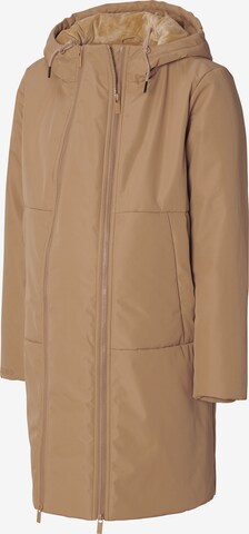 Noppies Between-season jacket 'Flagstaff' in Brown