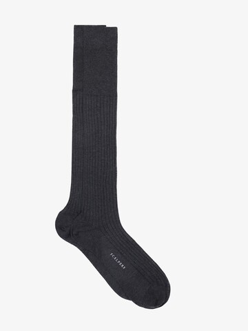 Scalpers Socken in Grau