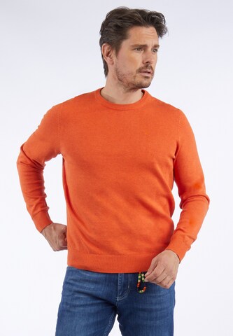 HECHTER PARIS Pullover in Orange: predná strana