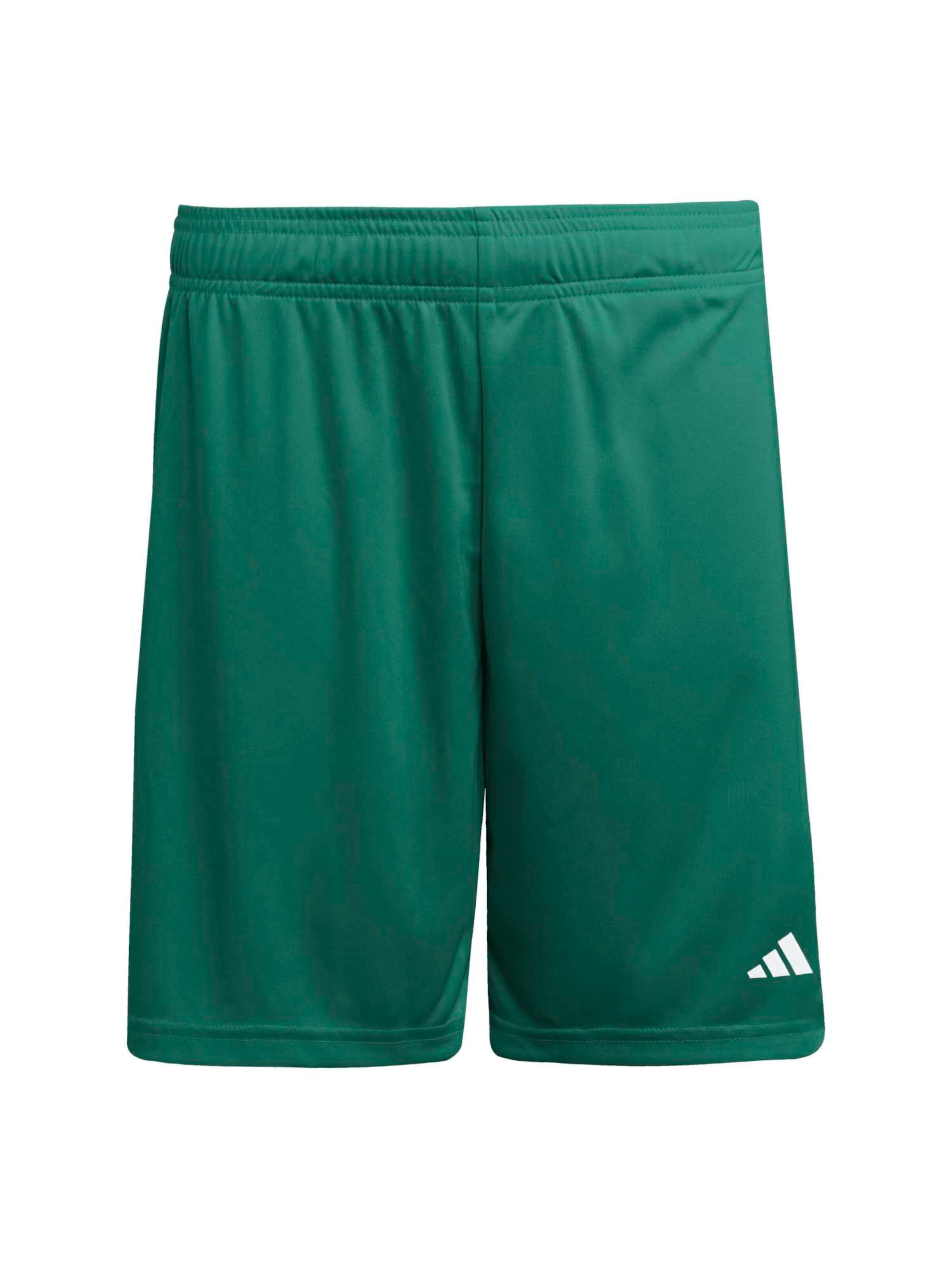 ADIDAS PERFORMANCE Sportshorts 'ENT26' in grün, Produktansicht