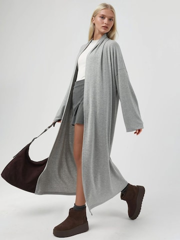 Cardigan 'Strickjacken' Busem en gris
