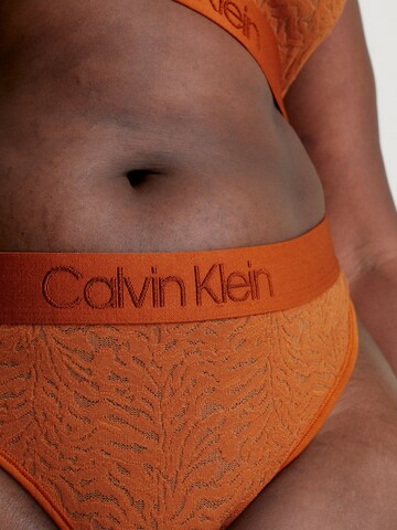 Calvin Klein Underwear Plus Thong in Brown