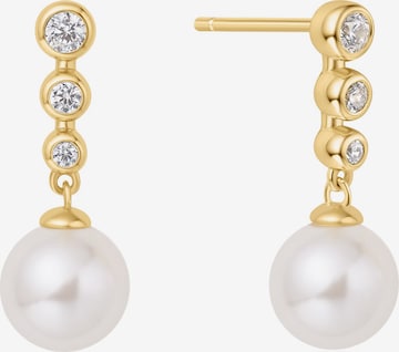 ANIA HAIE Earrings in Gold: front