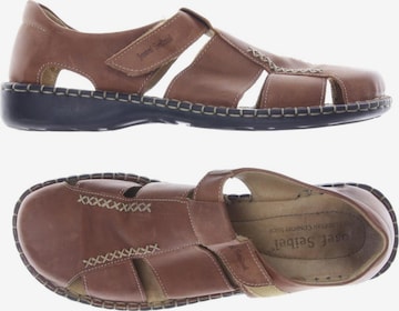 JOSEF SEIBEL Flats & Loafers in 40 in Brown: front