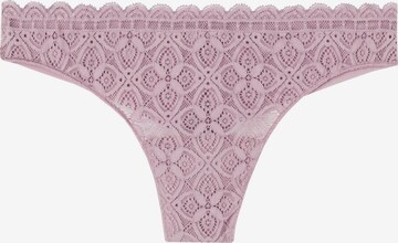 INTIMISSIMI Panty in Purple: front