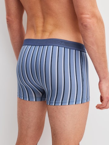 Boxer 'Grafic Cotton' di CALIDA in blu