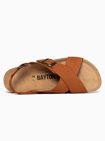 Bayton Sandali 'Cantabrie' | rjava barva