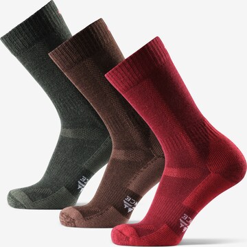 DANISH ENDURANCE Athletic Socks 'Hiking Classic' in Mixed colors