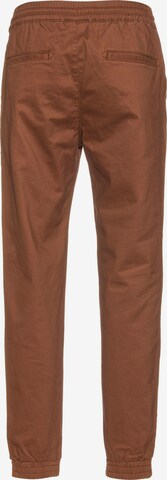Champion Authentic Athletic Apparel Regular Pants in Brown