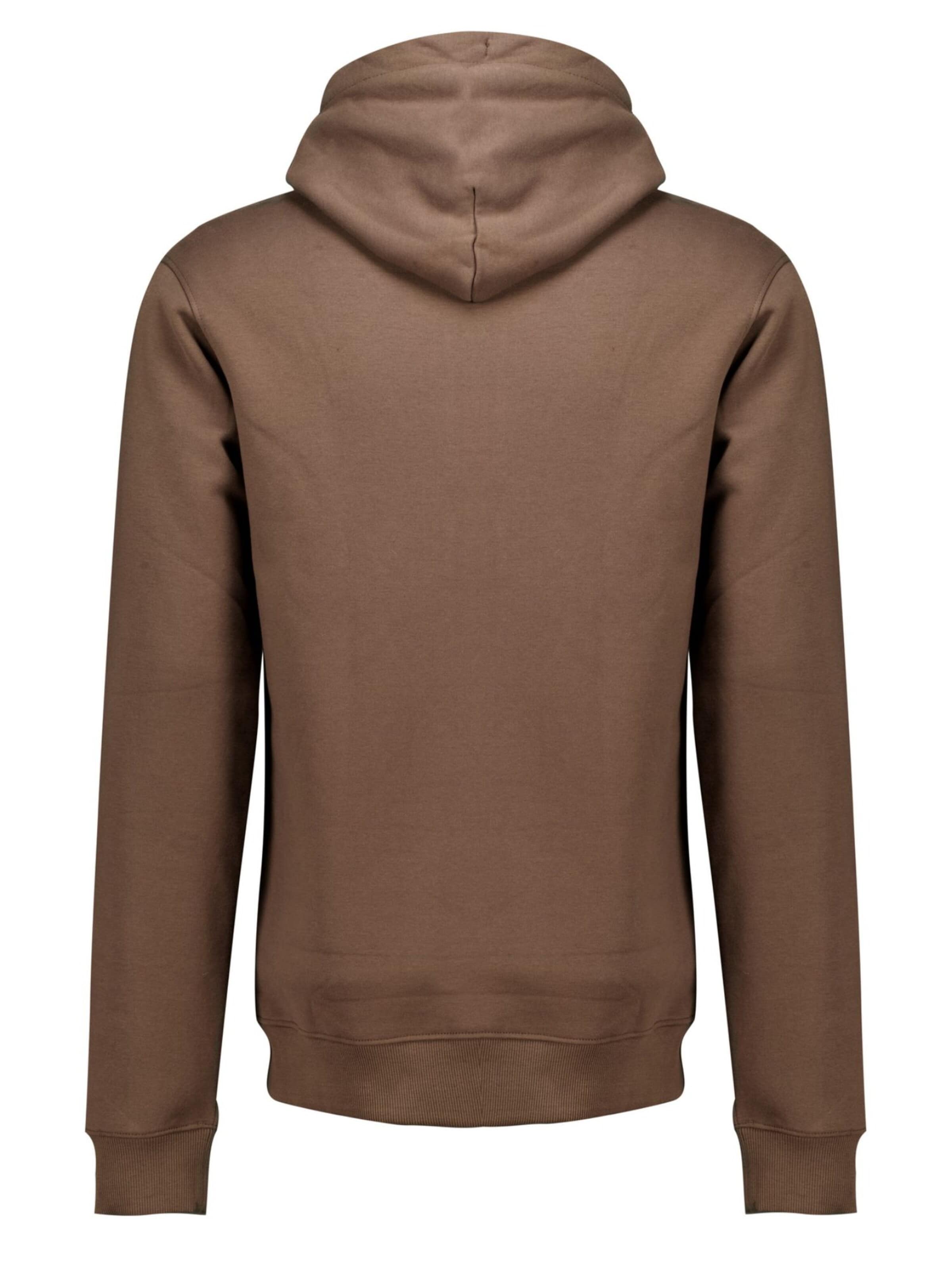Deeluxe Sweatshirt‌‌‌‌‌‌ in Braun