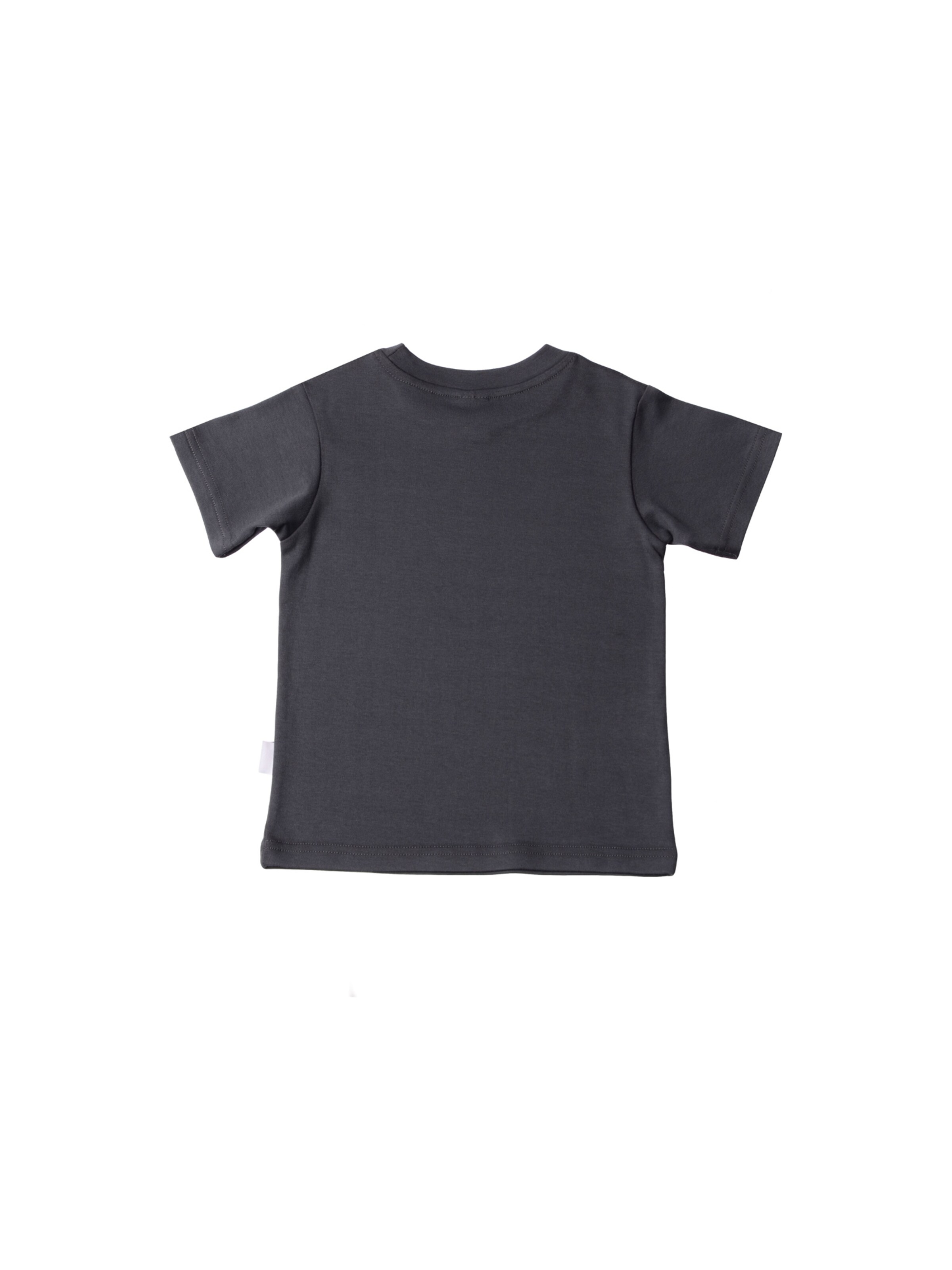 LILIPUT T-Shirt 'Leo' in Grau