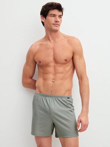 CALIDA Boxer shorts 'Prints' in Grey