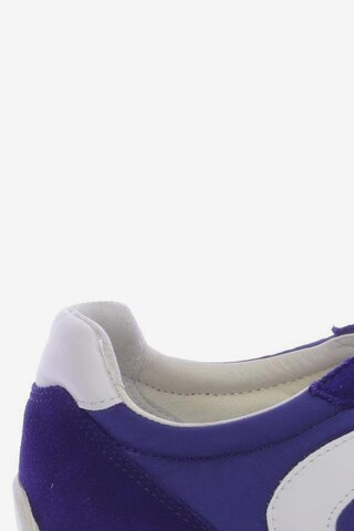 GEOX Sneakers & Trainers in 39 in Blue