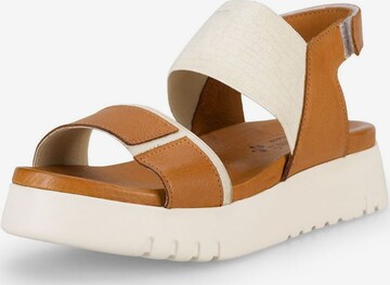 FELMINI Sandalen met riem in Bruin: voorkant