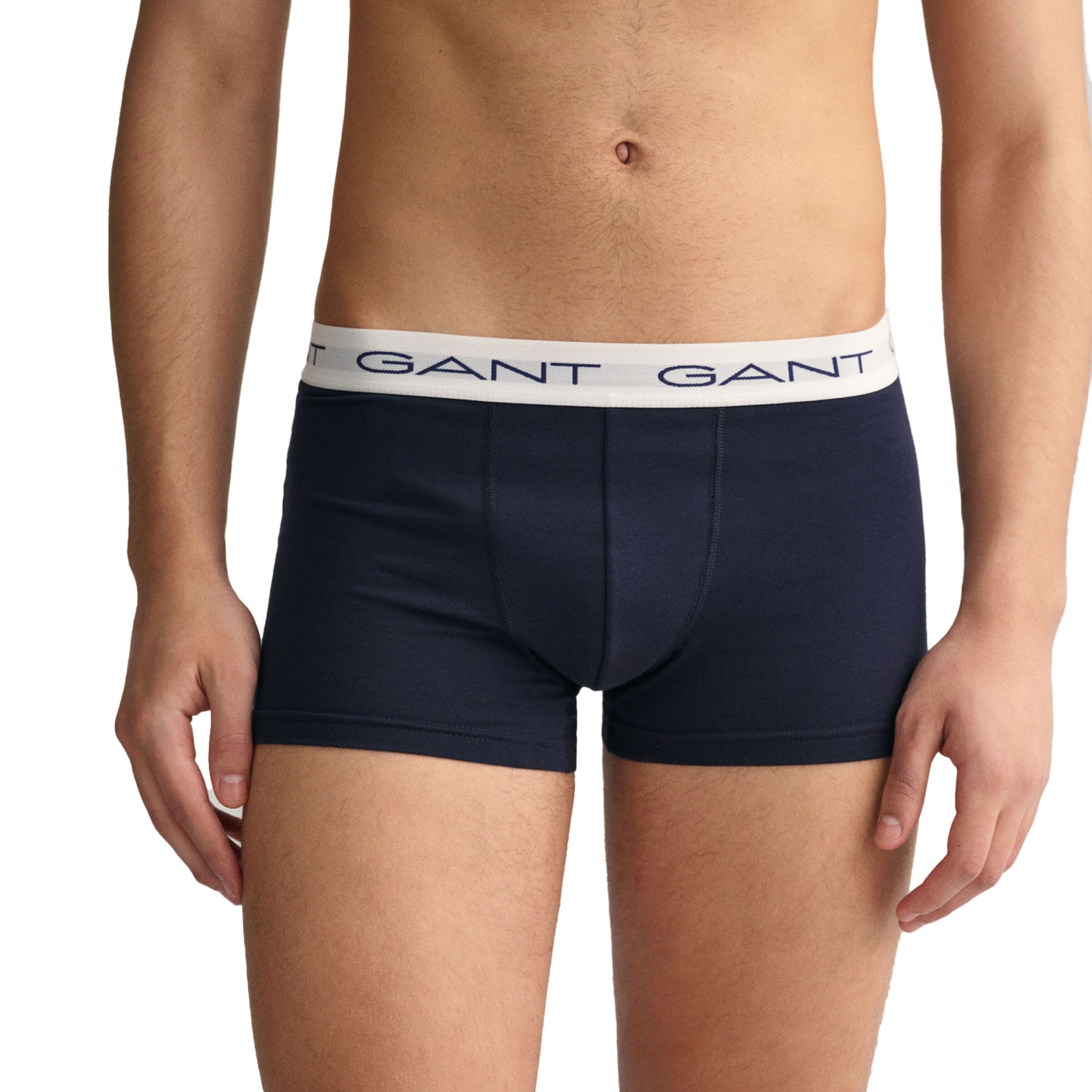 GANT Pants in Blau