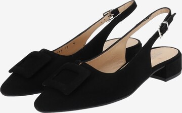 PETER KAISER Pumps in Black