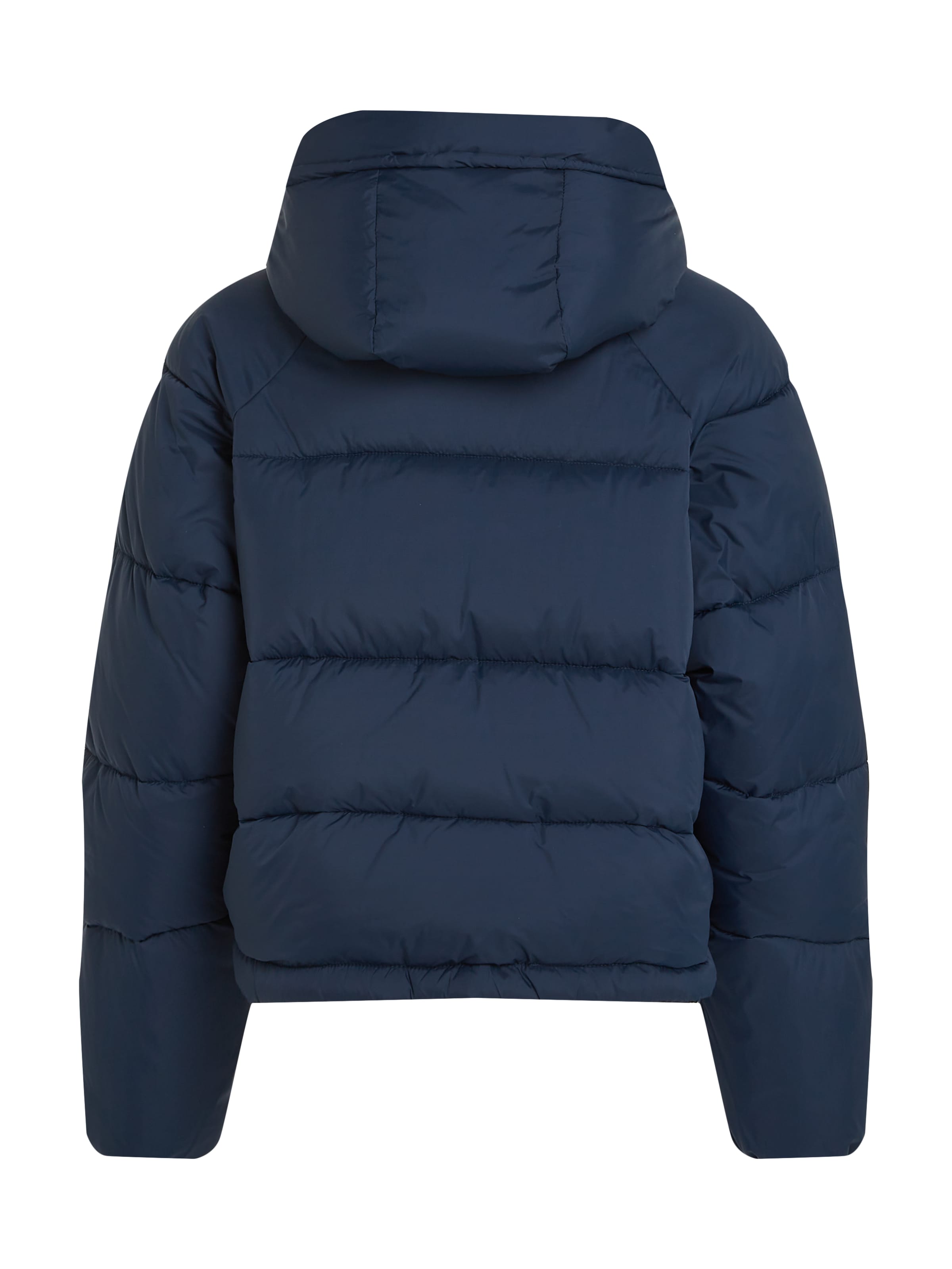 Tommy Jeans Winter Jacket in Blue