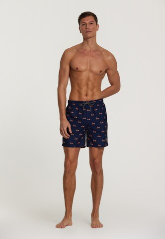 Shorts de bain Shiwi en bleu