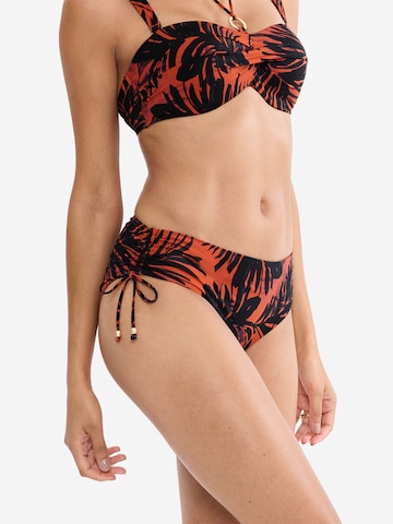 Bas de bikini ' Red Label Summer Palm ' TRIUMPH en marron : devant
