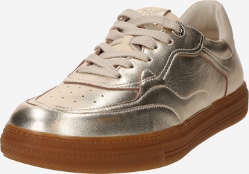 Sneaker bassa 'Pauls' di Paul Green in oro: frontale