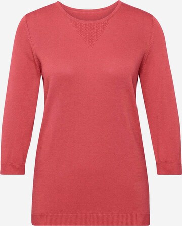 Goldner Sweater in Red: front