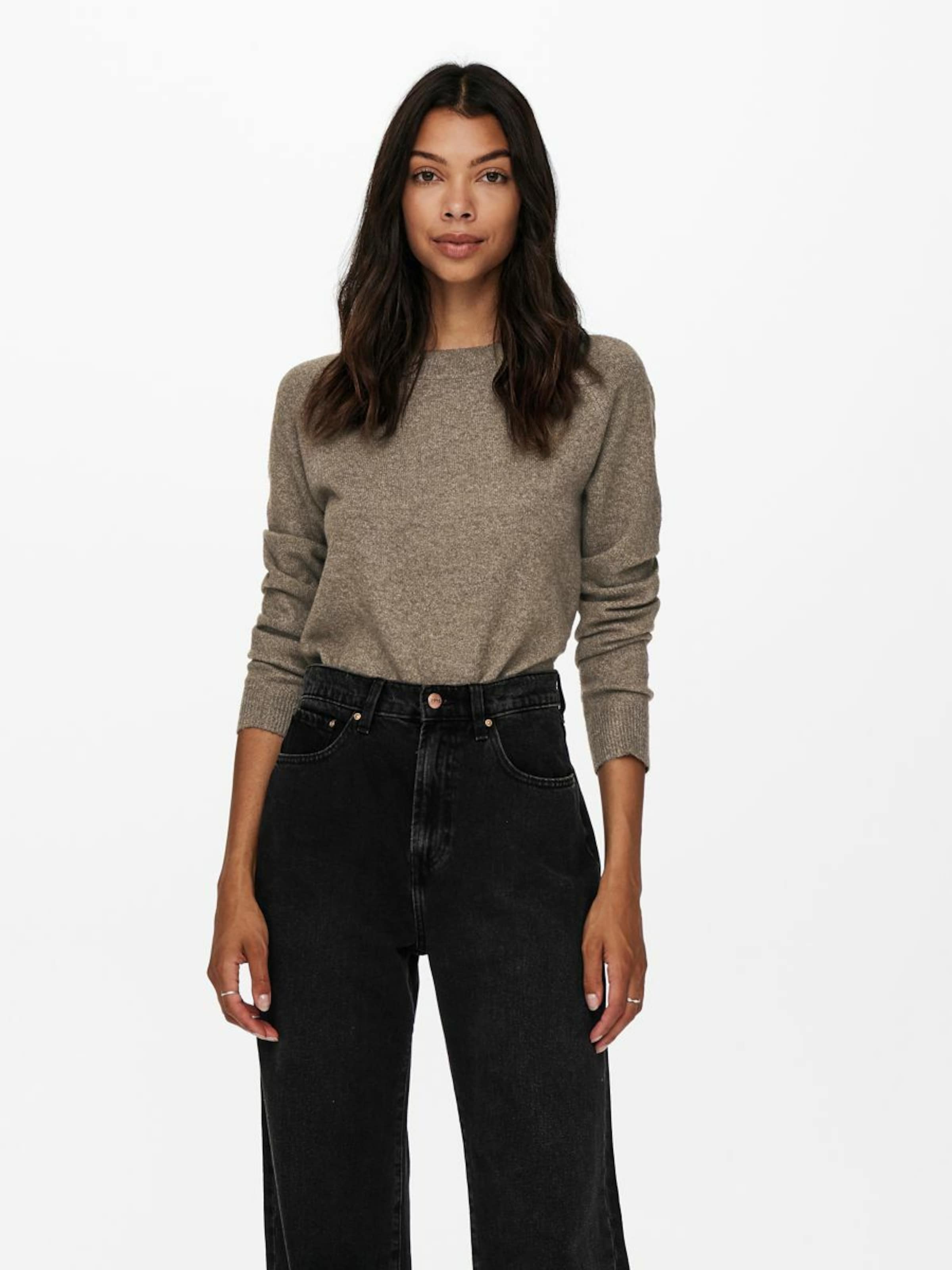 Grandes tailles Pull-over ONLY en Marron Chiné 