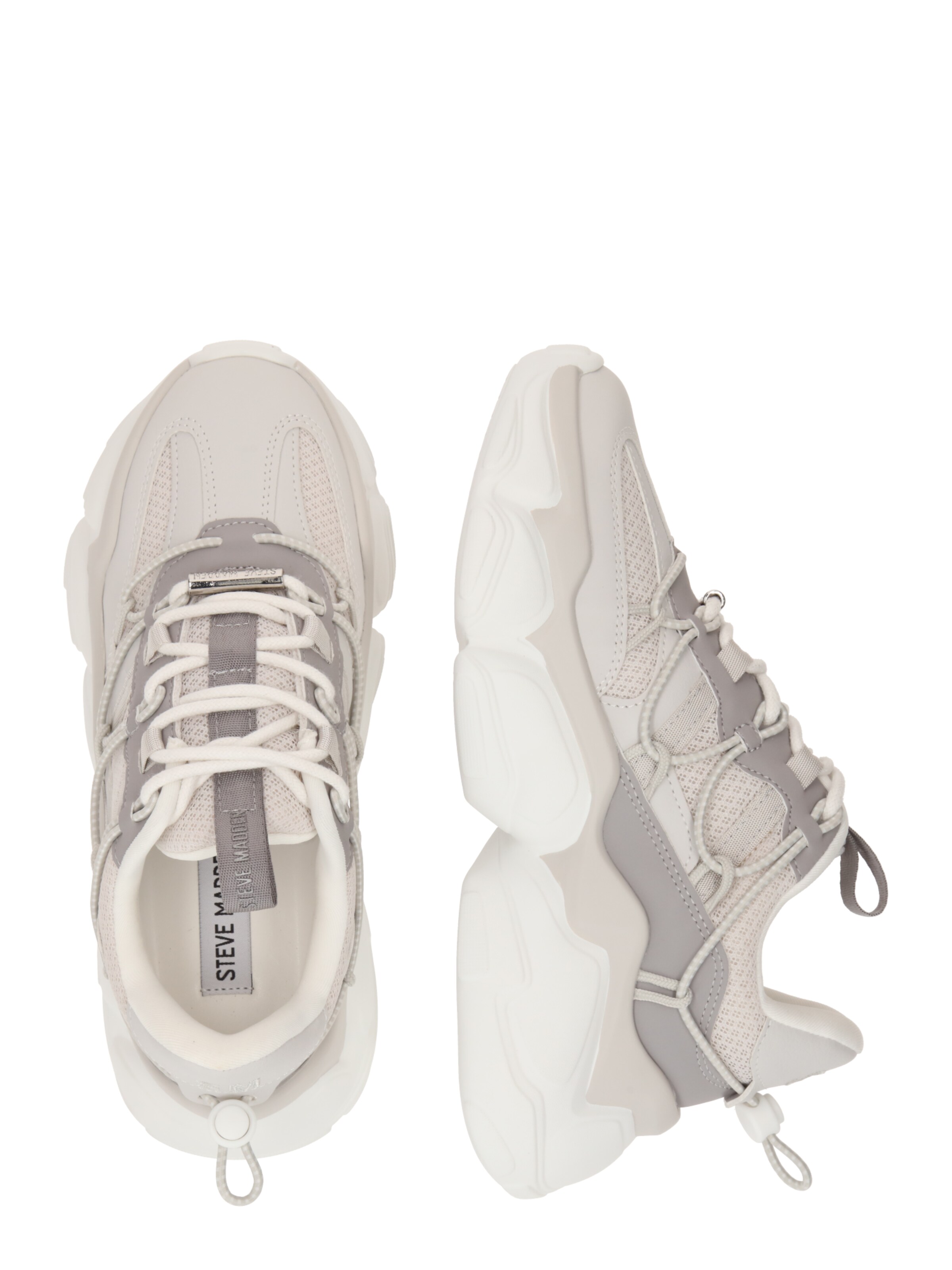 STEVE MADDEN Sneakers laag 'Spectator' in Grijs