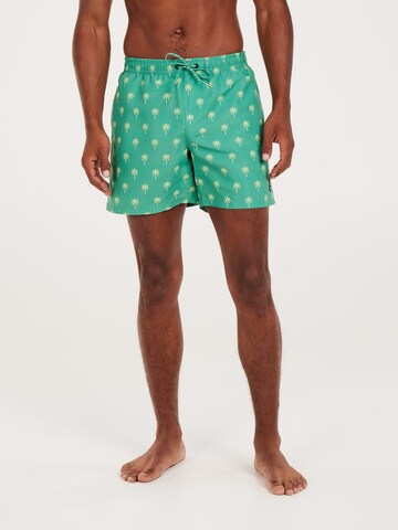 PROTEST Badeshorts 'PRTALVIS'‌‌‌‌‌‌‌‌ in Grün