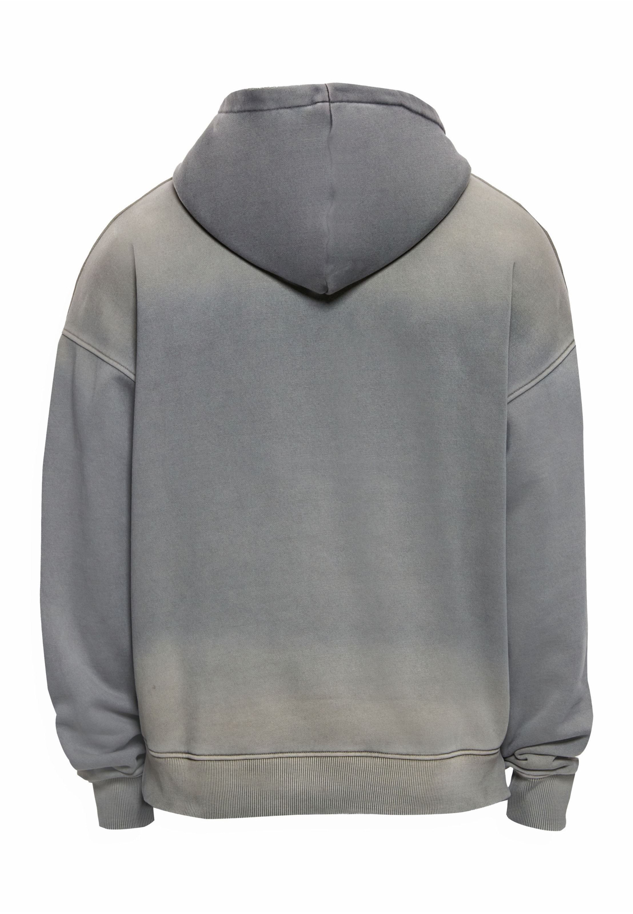 Dropsize Sweatshirt in Grey