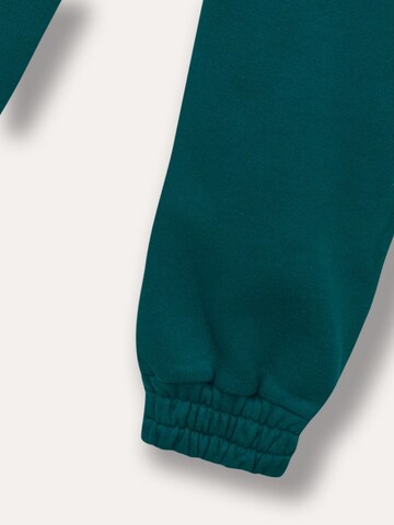 WINKIKI Regular Pants in Green