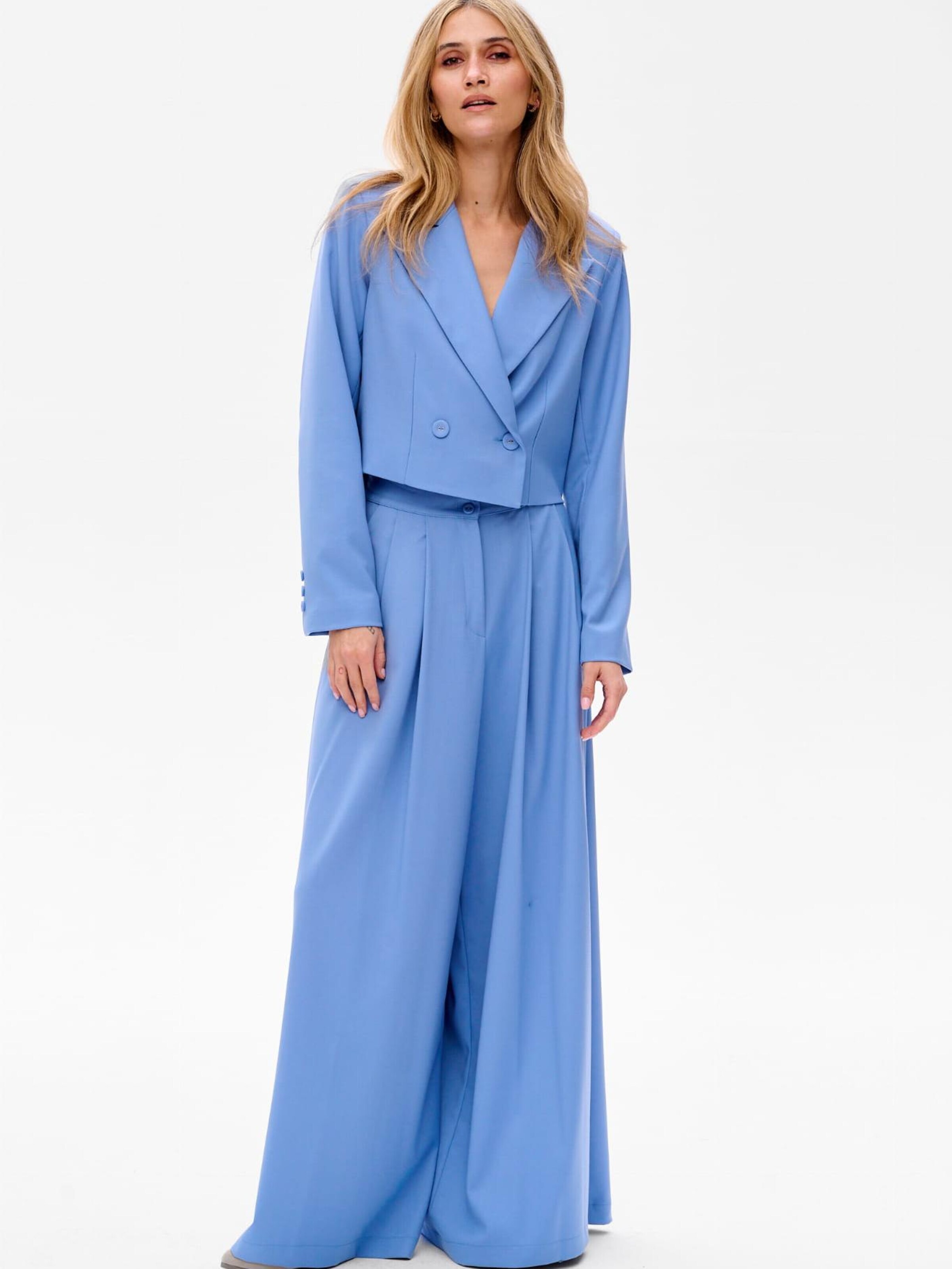 Blue Shadow Wide leg Pants in Blue: front
