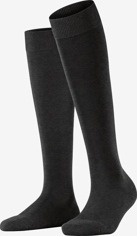 FALKE Kniestrümpfe 'ClimaWool' in Grau: Vorderseite