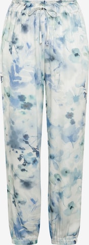 Effilé Pantalon DEHA en bleu : devant