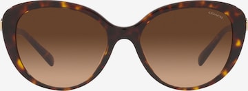 COACH - Gafas de sol en marrón