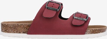 Cruz Mules 'Whitehill' in Red