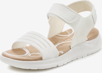 LASCANA Hiking Sandals in White: front