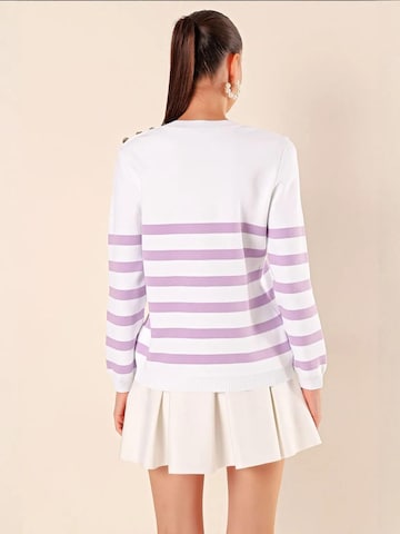 Bigdart Trui in Lila