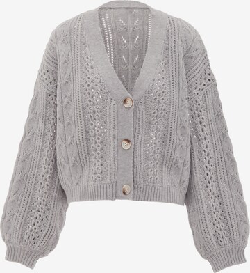 aleva Knit Cardigan in Grey: front