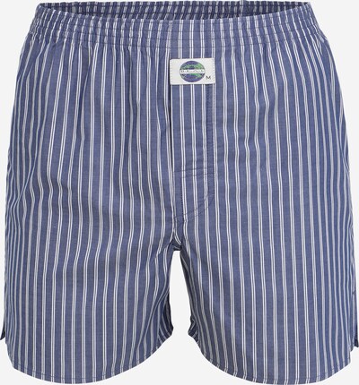 D.E.A.L International Boxer shorts in Dusty blue / White, Item view