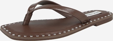ruda STEVE MADDEN Šlepetės per pirštą 'Rickyy': priekis